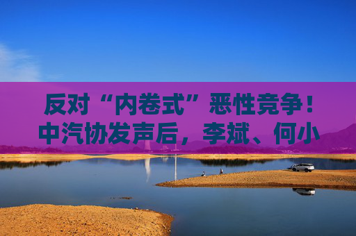 反对“内卷式”恶性竞争！中汽协发声后，李斌、何小鹏、閤先庆等车企大佬集体表态“价格战”