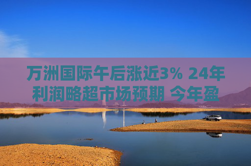 万洲国际午后涨近3% 24年利润略超市场预期 今年盈利情况有望继续改善  第1张