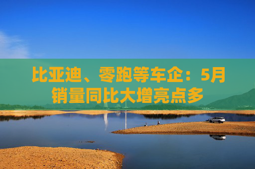 比亚迪、零跑等车企：5月销量同比大增亮点多