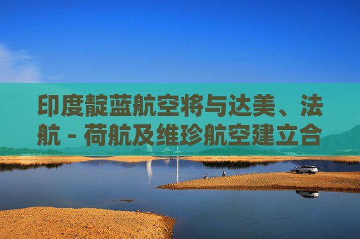 印度靛蓝航空将与达美、法航 - 荷航及维珍航空建立合作