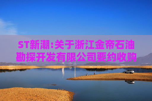 ST新潮:关于浙江金帝石油勘探开发有限公司要约收购公司股份的申报公告  第1张