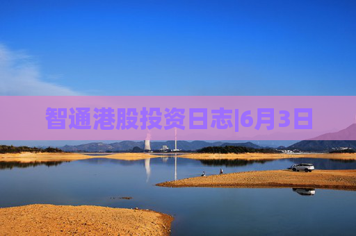 智通港股投资日志|6月3日