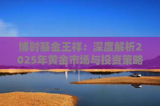 博时基金王祥：深度解析2025年黄金市场与投资策略