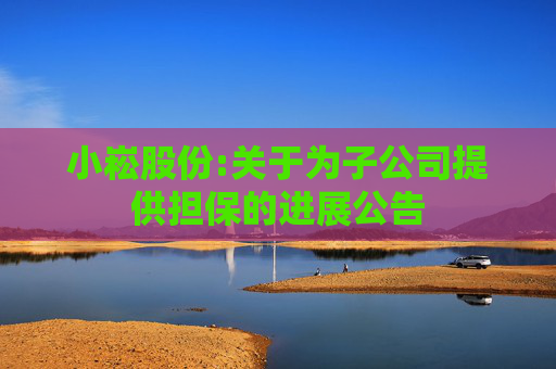 小崧股份:关于为子公司提供担保的进展公告