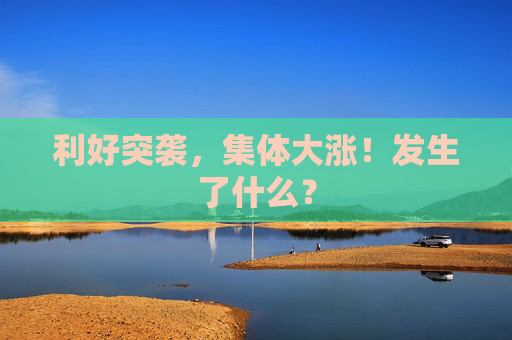利好突袭，集体大涨！发生了什么？