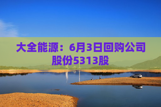 大全能源：6月3日回购公司股份5313股