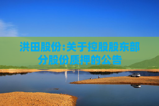 洪田股份:关于控股股东部分股份质押的公告