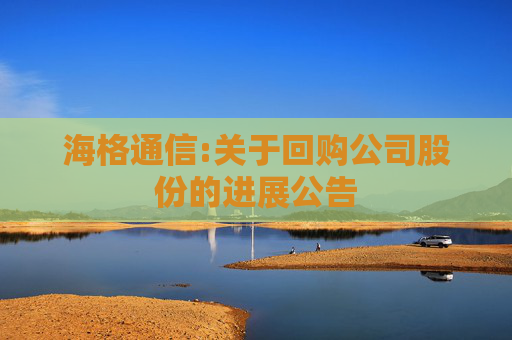 海格通信:关于回购公司股份的进展公告