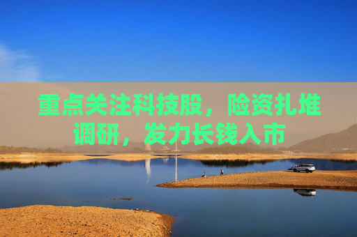 重点关注科技股，险资扎堆调研，发力长钱入市