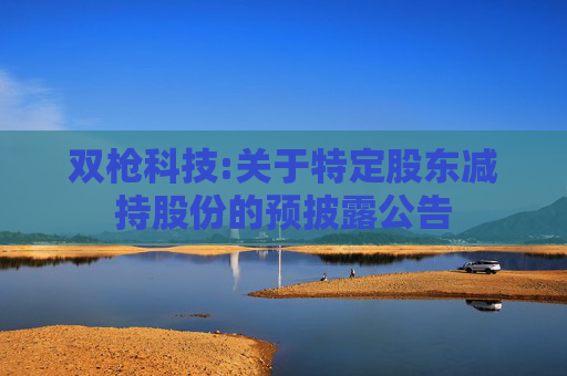双枪科技:关于特定股东减持股份的预披露公告