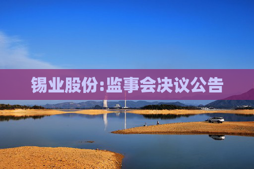 锡业股份:监事会决议公告  第1张