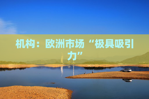 机构：欧洲市场“极具吸引力”