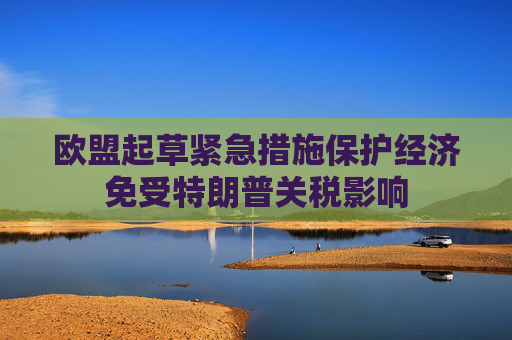欧盟起草紧急措施保护经济免受特朗普关税影响
