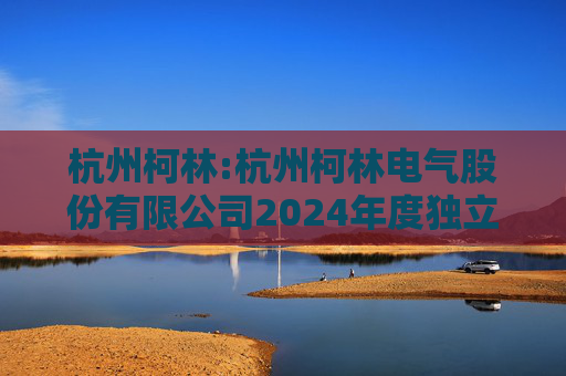 杭州柯林:杭州柯林电气股份有限公司2024年度独立董事述职报告（戴国骏）  第1张