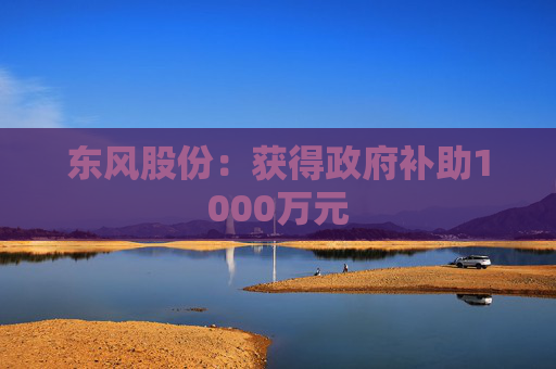 东风股份：获得政府补助1000万元