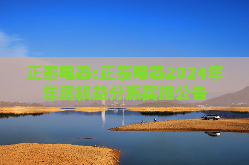 正泰电器:正泰电器2024年年度权益分派实施公告