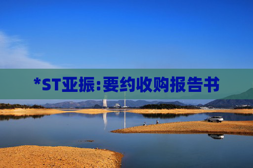 *ST亚振:要约收购报告书