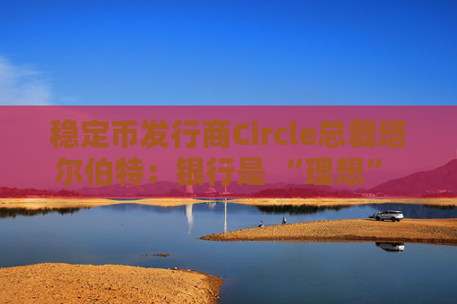 稳定币发行商Circle总裁塔尔伯特：银行是 “理想” 合作伙伴