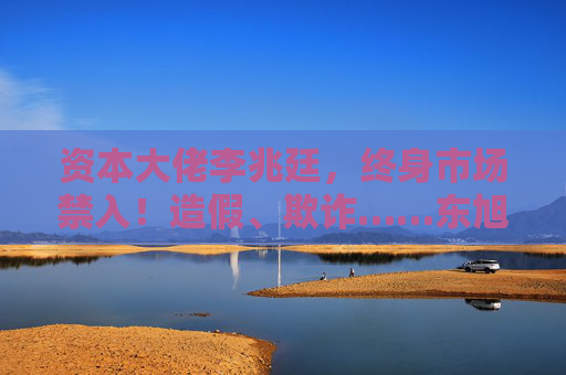 资本大佬李兆廷，终身市场禁入！造假、欺诈……东旭系相关主体合计被罚17亿元