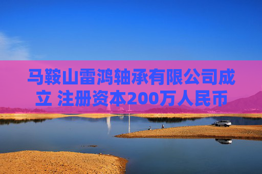马鞍山雷鸿轴承有限公司成立 注册资本200万人民币  第1张