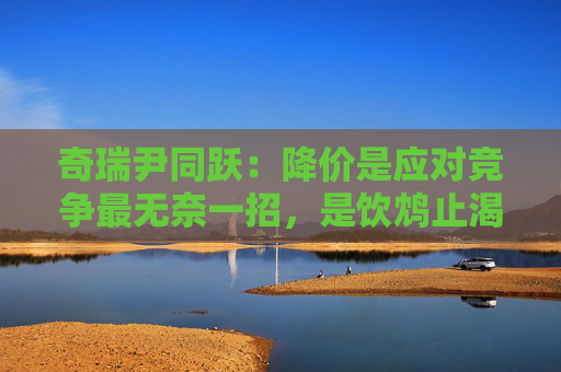 奇瑞尹同跃：降价是应对竞争最无奈一招，是饮鸩止渴