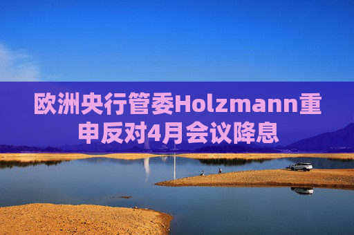 欧洲央行管委Holzmann重申反对4月会议降息  第1张