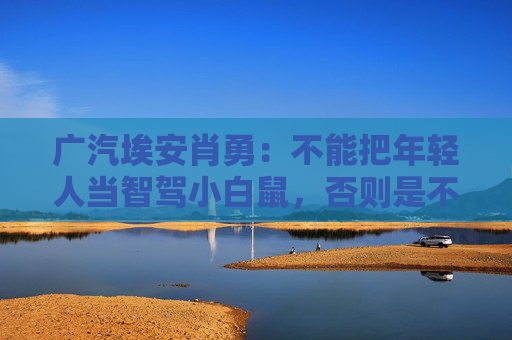 广汽埃安肖勇：不能把年轻人当智驾小白鼠，否则是不讲良心
