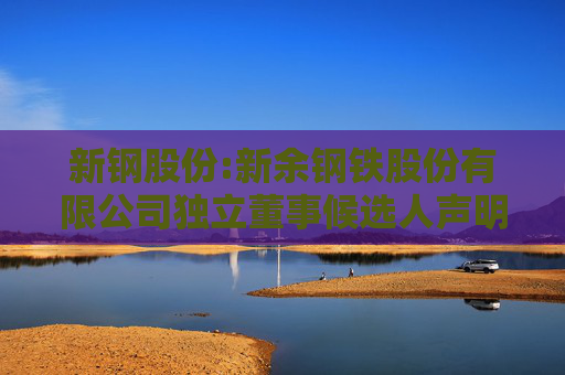 新钢股份:新余钢铁股份有限公司独立董事候选人声明（李军）