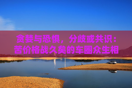 贪婪与恐惧，分歧或共识：苦价格战久矣的车圈众生相