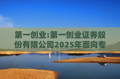 第一创业:第一创业证券股份有限公司2025年面向专业投资者公开发行科技创新公司债券（第一期）评级报告  第1张