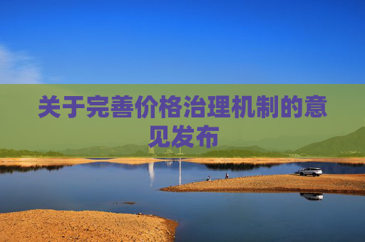 关于完善价格治理机制的意见发布