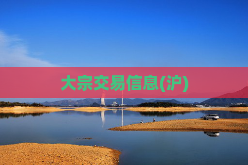 大宗交易信息(沪)