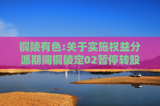 铜陵有色:关于实施权益分派期间铜陵定02暂停转股的公告