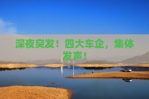 深夜突发！四大车企，集体发声！