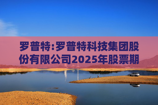 罗普特:罗普特科技集团股份有限公司2025年股票期权激励计划实施考核管理办法