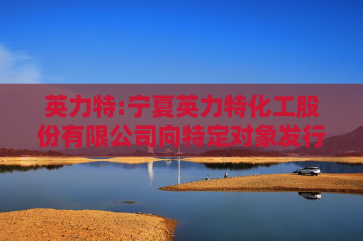 英力特:宁夏英力特化工股份有限公司向特定对象发行股票募集说明书（更新稿）