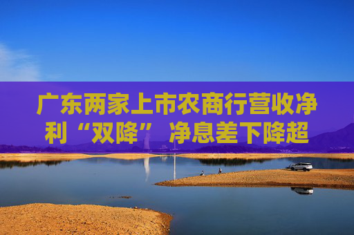 广东两家上市农商行营收净利“双降” 净息差下降超28个基点