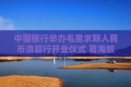 中国银行举办毛里求斯人民币清算行开业仪式 葛海蛟出席活动并致辞