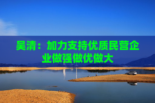 吴清：加力支持优质民营企业做强做优做大