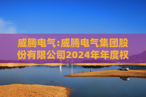 威腾电气:威腾电气集团股份有限公司2024年年度权益分派实施公告