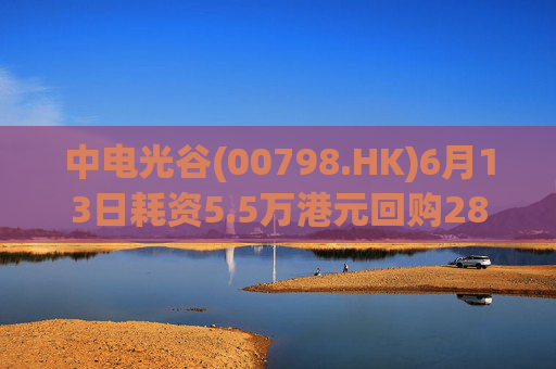 中电光谷(00798.HK)6月13日耗资5.5万港元回购28万股