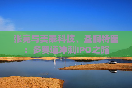 张亮与美泰科技、圣桐特医：多赛道冲刺IPO之路