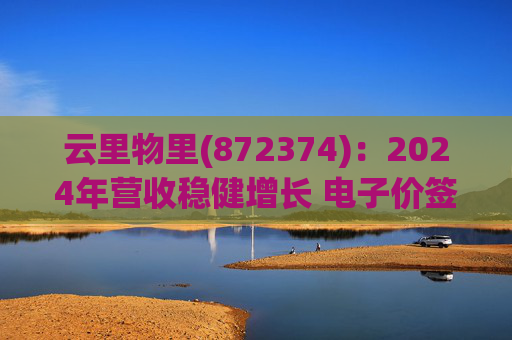 云里物里(872374)：2024年营收稳健增长 电子价签营收实现高增