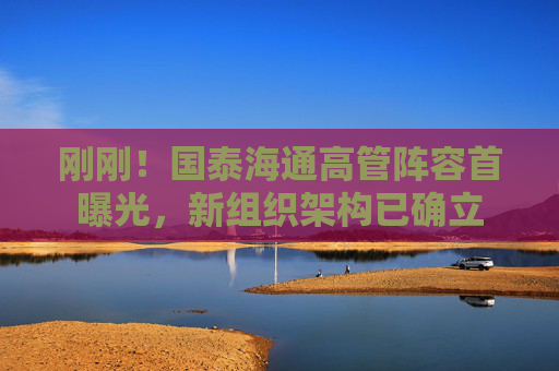 刚刚！国泰海通高管阵容首曝光，新组织架构已确立