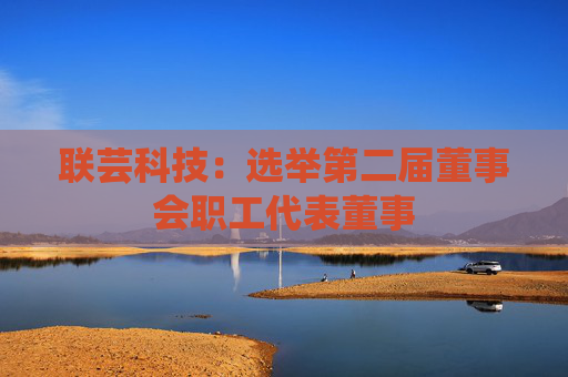 联芸科技：选举第二届董事会职工代表董事