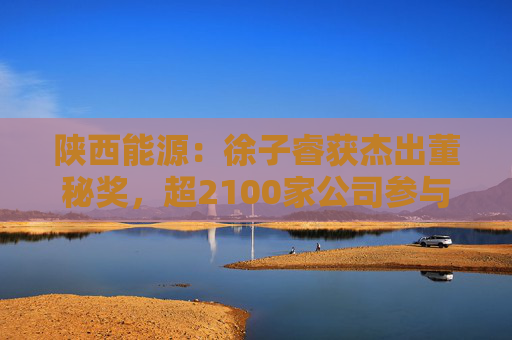 陕西能源：徐子睿获杰出董秘奖，超2100家公司参与评选