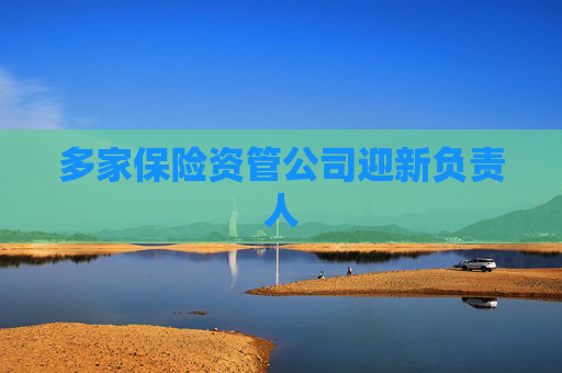 多家保险资管公司迎新负责人