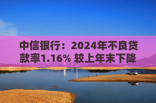 中信银行：2024年不良贷款率1.16% 较上年末下降0.02个百分点