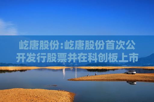 屹唐股份:屹唐股份首次公开发行股票并在科创板上市招股意向书