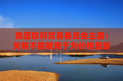 美国联邦贸易委员会主席：关税不能被用于为价格垄断开绿灯